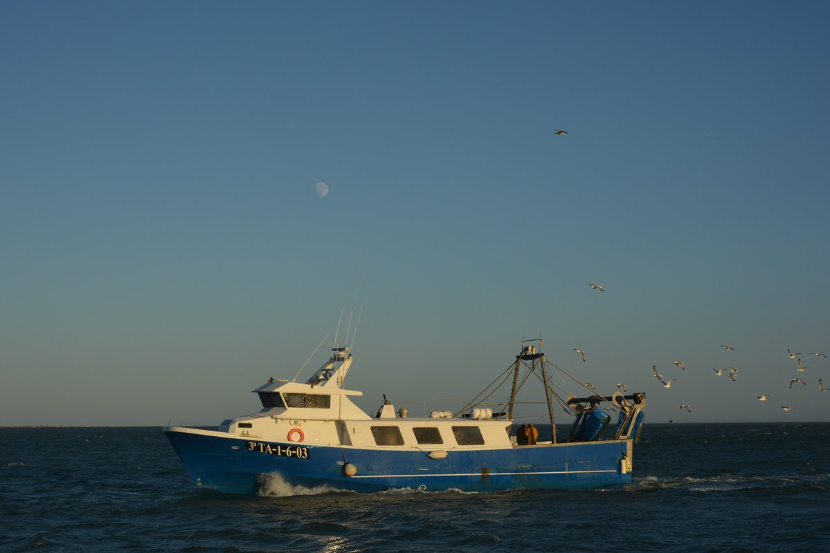 Imagen de Capitol 8 - 2004